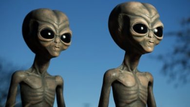 Uzaylılar Dünyayı Keşfettiğinde 3 uzayli