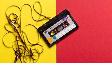 Müzik İndirme Programları