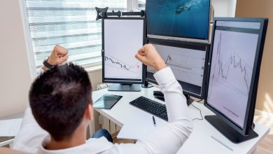 Yönetim Bilişim Sistemleri Bölümü Tercihi İçin 3 Ana Neden 1 Yönetim Bilişim Sistemleri