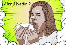 alerji nedir