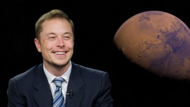 elon musk mars