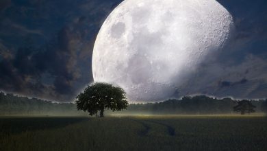 Ay Dunyaya Daha Yakin Olsaydi